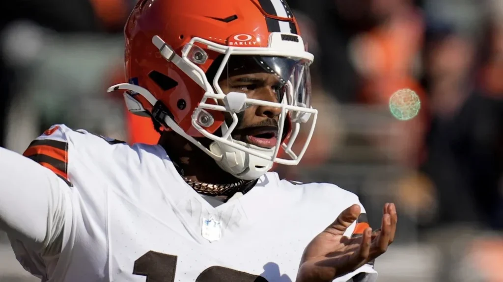 quarter of the nfl week 18 game between the cincinnati bengals